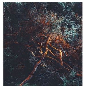 Meet your Posher, Aldo